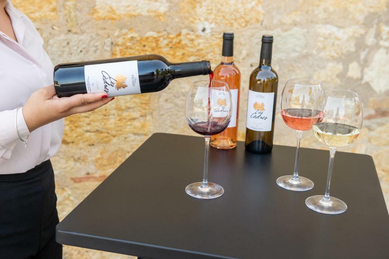 Chateau De Tauzies, The Originals Relais Gaillac Kültér fotó